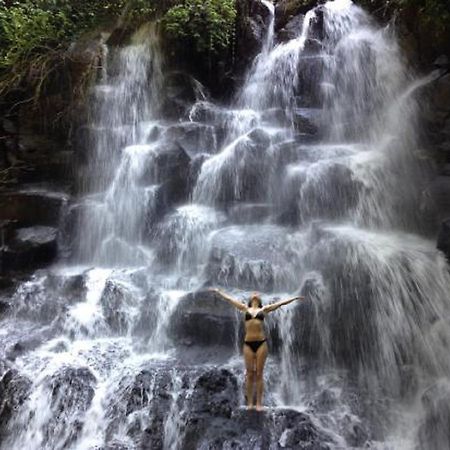 Sanggingan Villa Ubud Zewnętrze zdjęcie