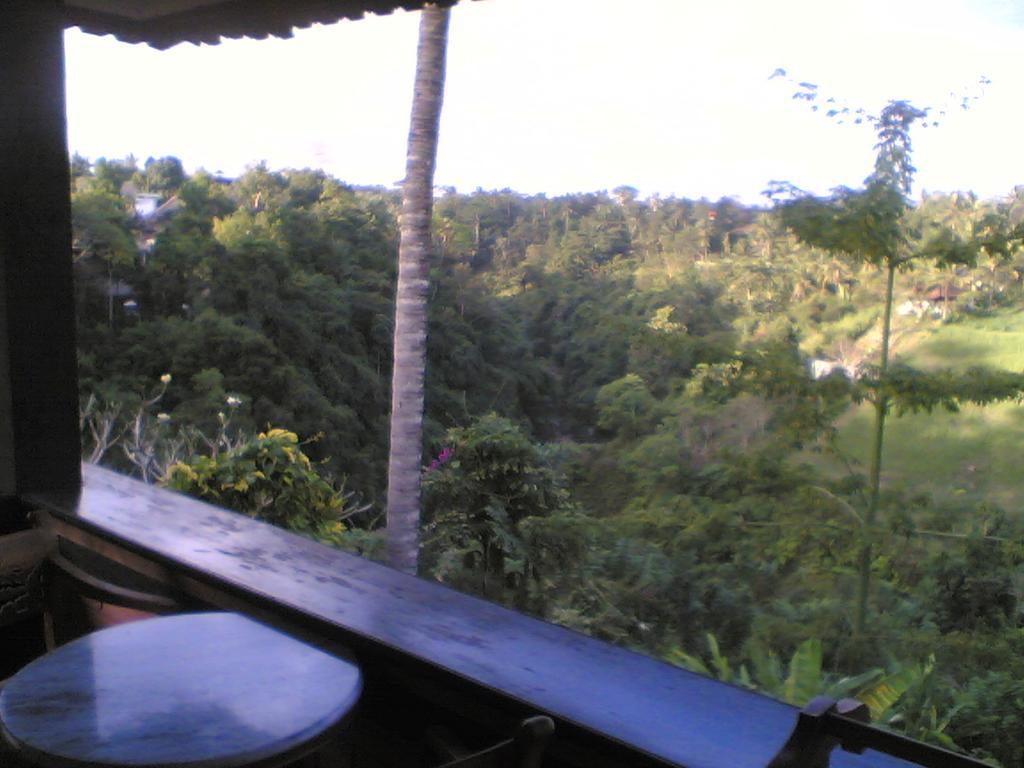 Sanggingan Villa Ubud Zewnętrze zdjęcie